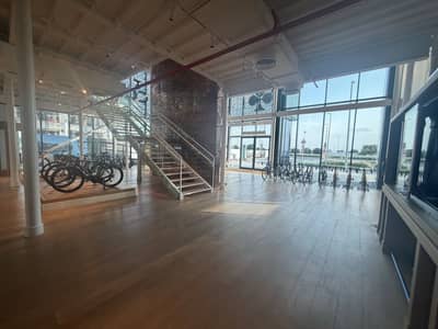 Colnago Abu Dhabi