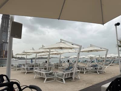 Zing Beach & Pool Bar