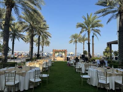 The Lawn