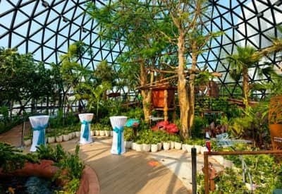 Lush indoor garden with event setup at The Butterfly Gardens Abu Dhabi, UAE