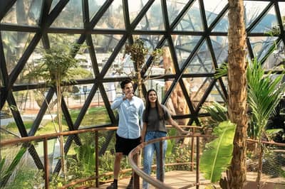 Visitors exploring lush greenery at The Butterfly Gardens Abu Dhabi, UAE.