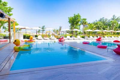 Outdoor pool with loungers and umbrellas at Voco Dubai Nice, Dubai, UAE.