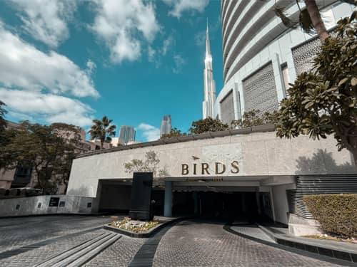 Birds Dubai