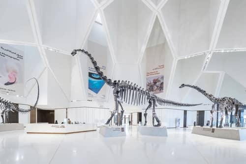 Natural History Museum Abu Dhabi