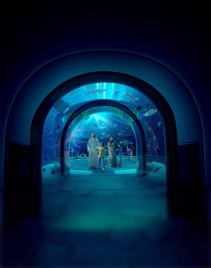 SeaWorld Abu Dhabi