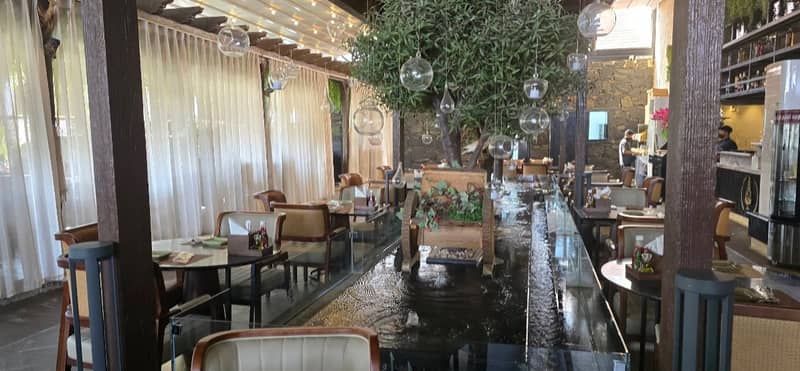 Aylul Lebanon Restaurant