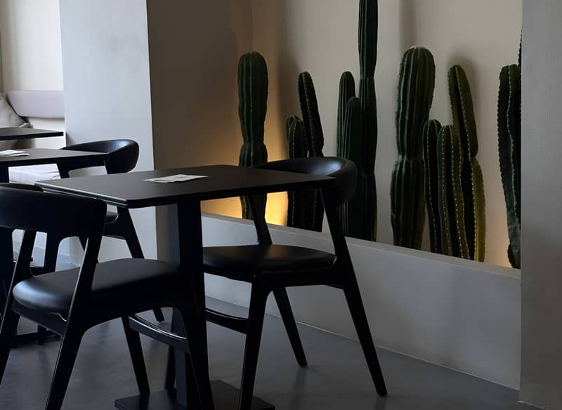 Cactus coffee house Lusail