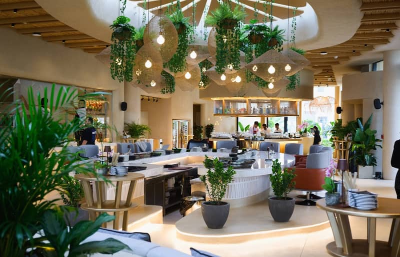 Novikov Doha Restaurant  Beach Club Doha