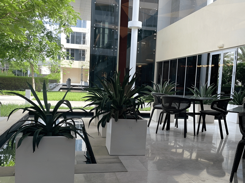 The Kitchen Restaurant مطعم ذا كيتشن