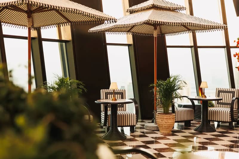 Lion in the Sun Dubai