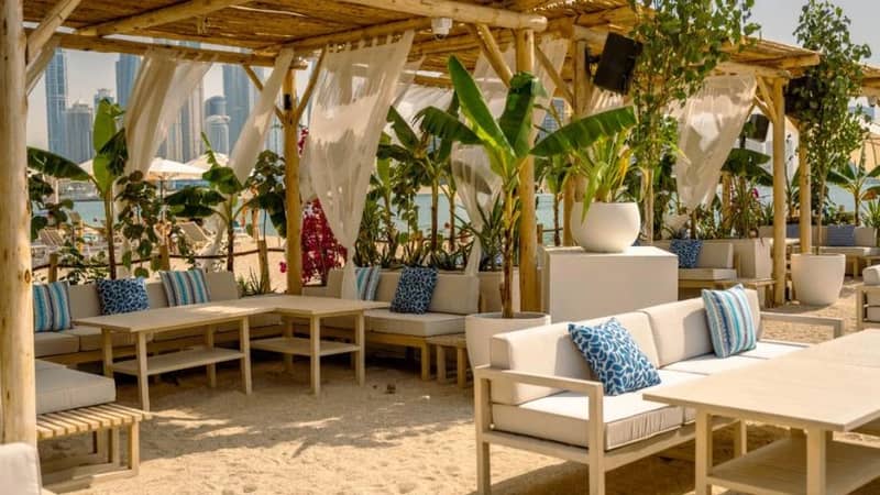 surf club-11