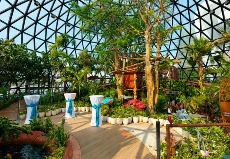 The Butterfly Gardens Abu Dhabi