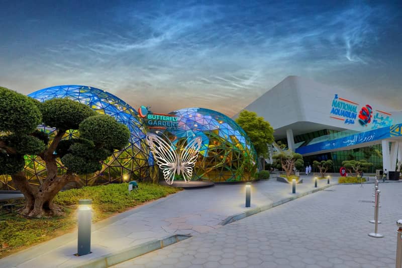 The Butterfly Gardens Abu Dhabi