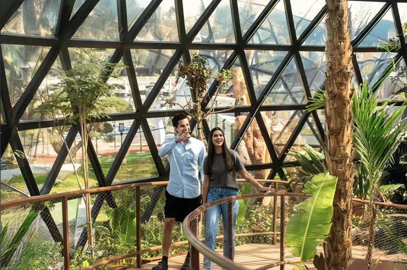 The Butterfly Gardens Abu Dhabi