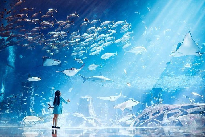 The Lost Chambers Aquarium