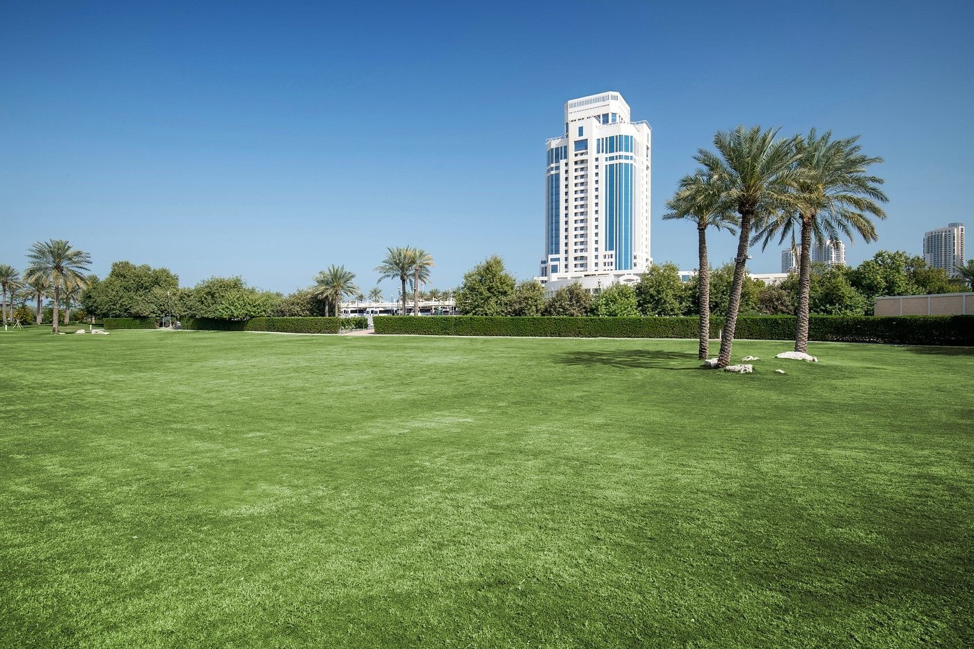 The Palm Garden