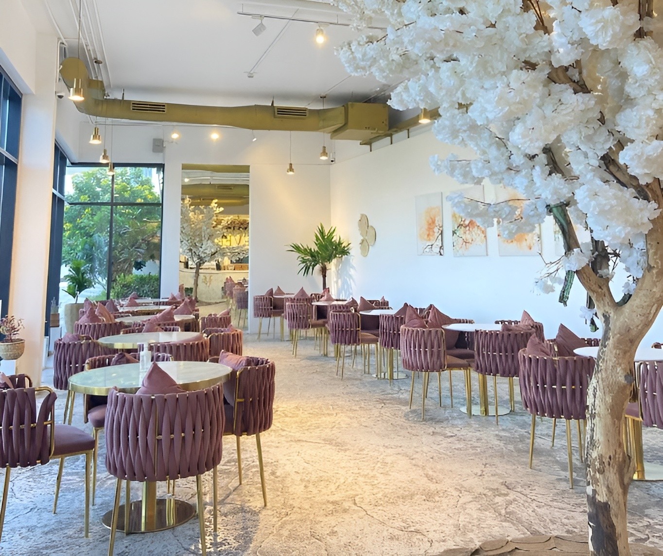 Cafe