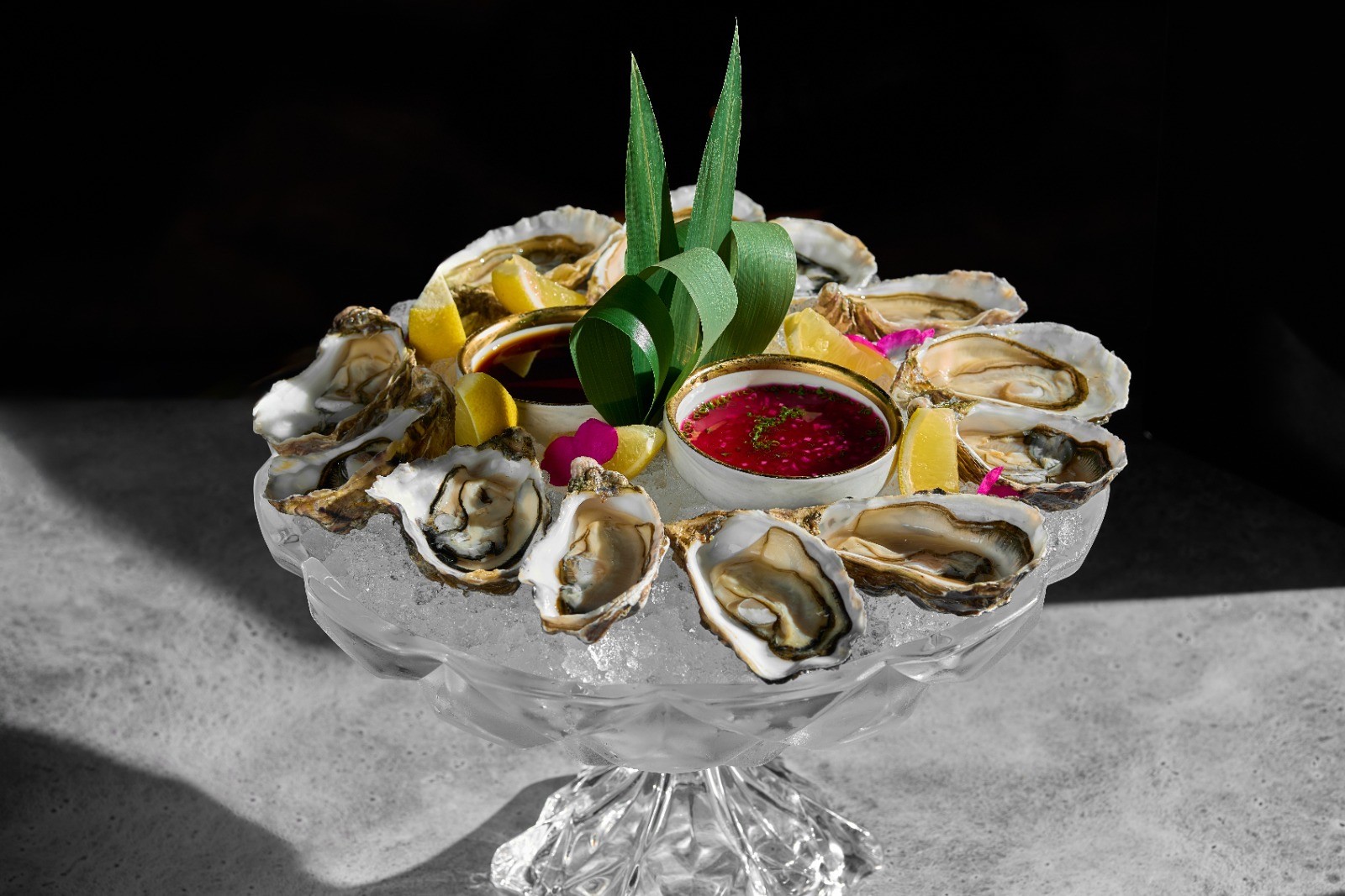 Food Photos