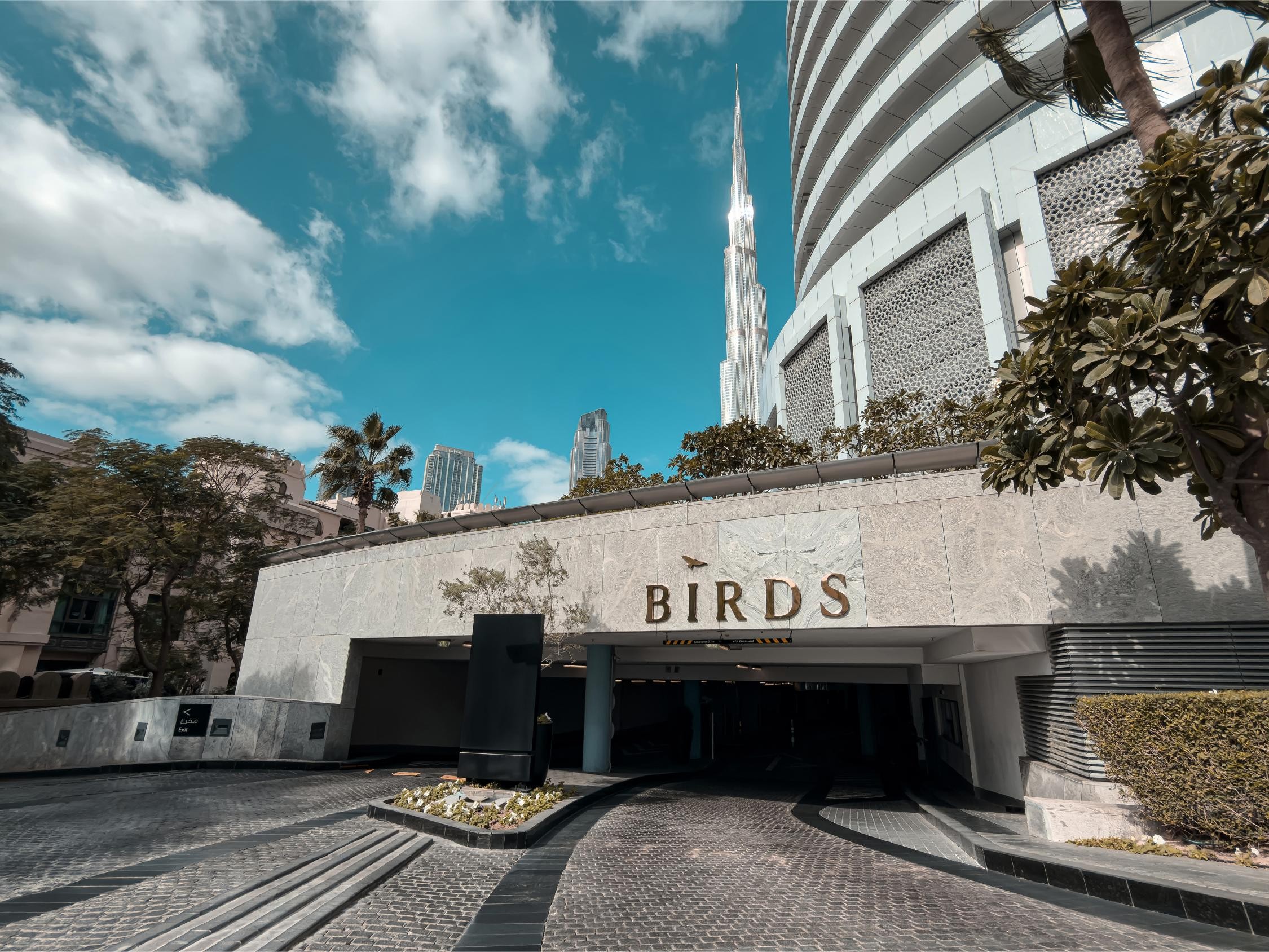 Birds Dubai