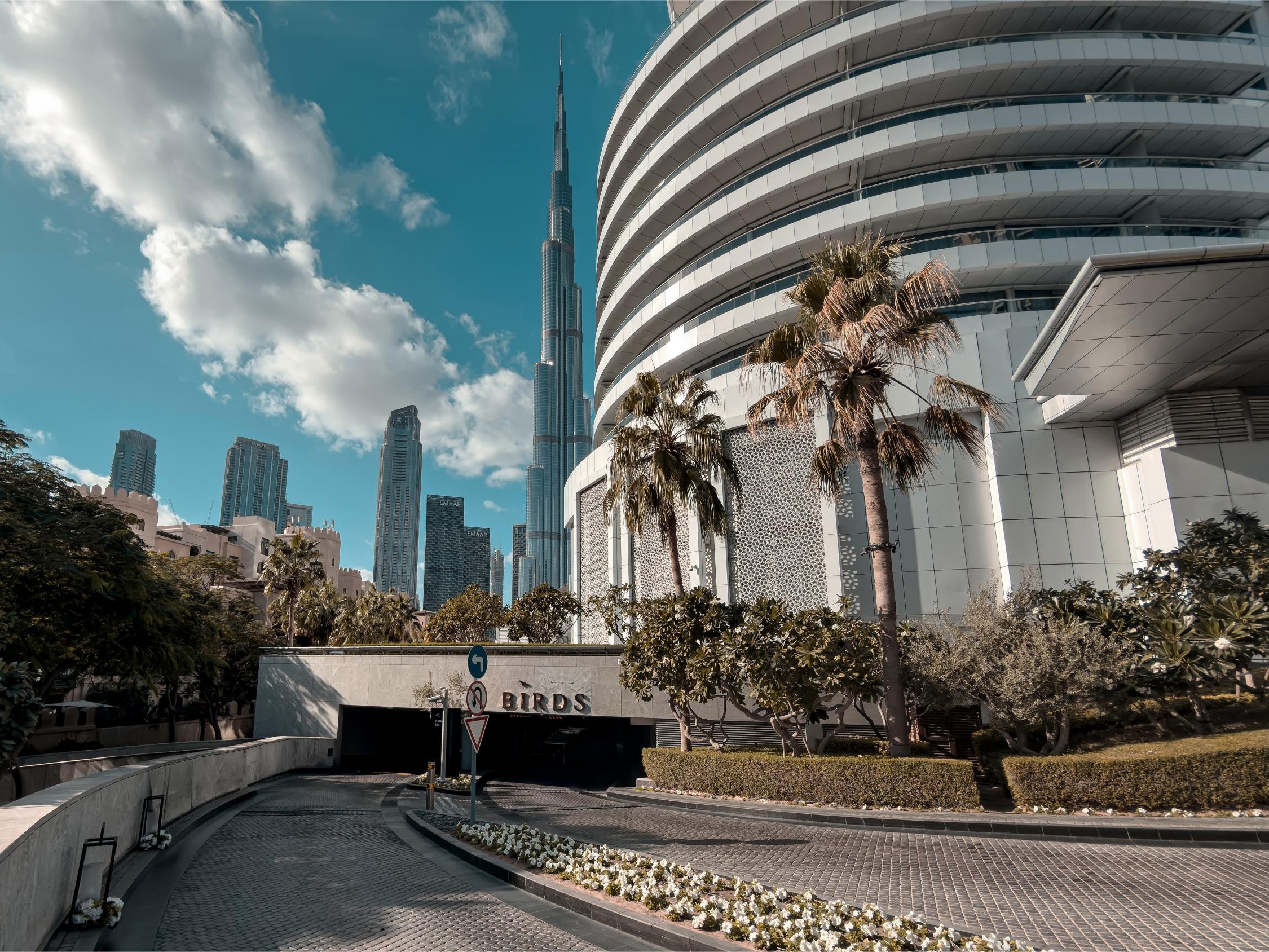 Birds Dubai