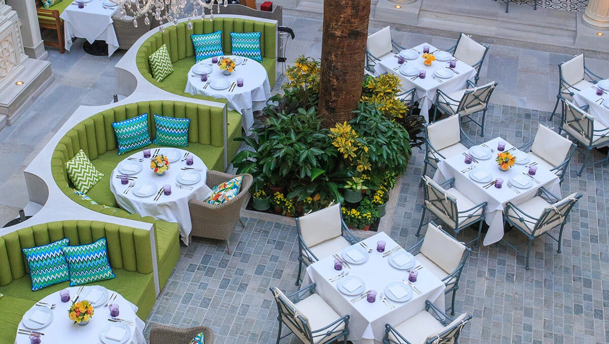 Terrace 2